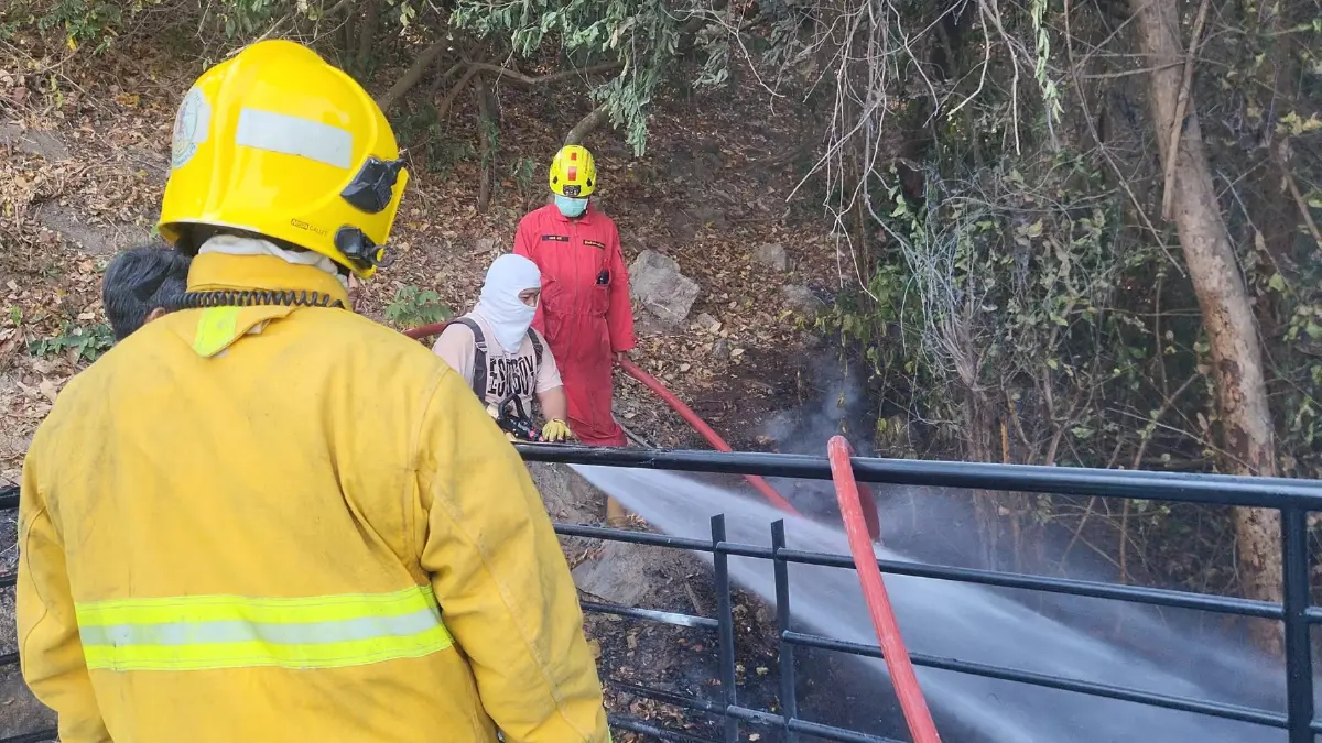 ระทึก! ไฟไหม้ป่าหญ้าหวิดลามป้าย pattaya city​ จนท.เร่ง​ควบคุมสถานการณ์