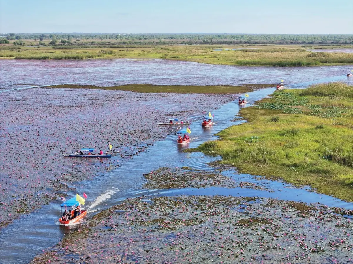 นักท่องเที่ยวแห่ตามรอย ‘ลิซ่า’ ล่องเรือชมทะเลบัวแดง ‘ททท.’ คาดยอดเดินทางทะลัก 1.2 แสนคน