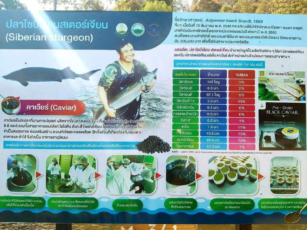 มกอช. รุกทำมาตรฐาน GAP ฟาร์มเพาะเลี้ยงสัตว์น้ำ พื้นที่สูง