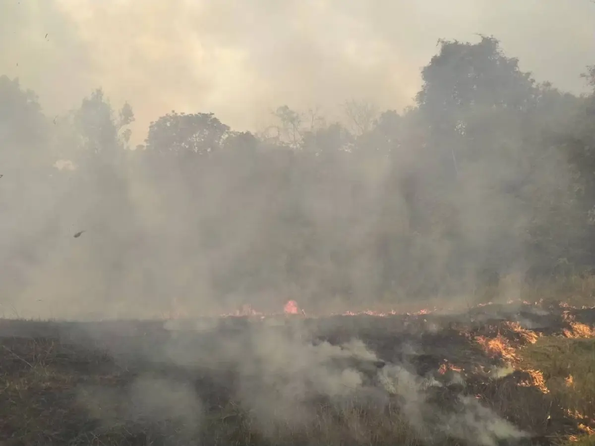 อช.เขาใหญ่ ดับไฟป่า 'ทุ่งงูเหลือม' สำเร็จ เสียหาย 50 ไร่ เตือนมือเผาโทษหนัก!