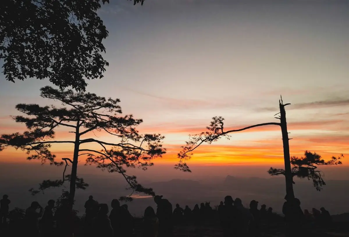 เที่ยวเลย หนาวมาก 'ภูกระดึง' แตะ 9 องศา ผานกแอ่น นทท.แห่พิชิตแสงแรก