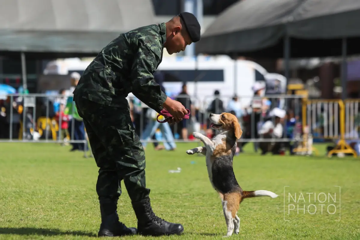 ชมความน่ารัก “สุนัขทหาร K9” โชว์ความสามารถในงาน “วันเด็กแห่งชาติ 2569”