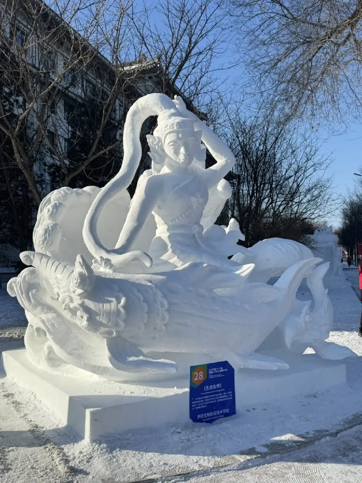 เด็กไทย ผงาดคว้าแชมป์โลก แกะสลักหิมะ 2026 โชว์ ปลากัด - เทพีแห่งน้ำ