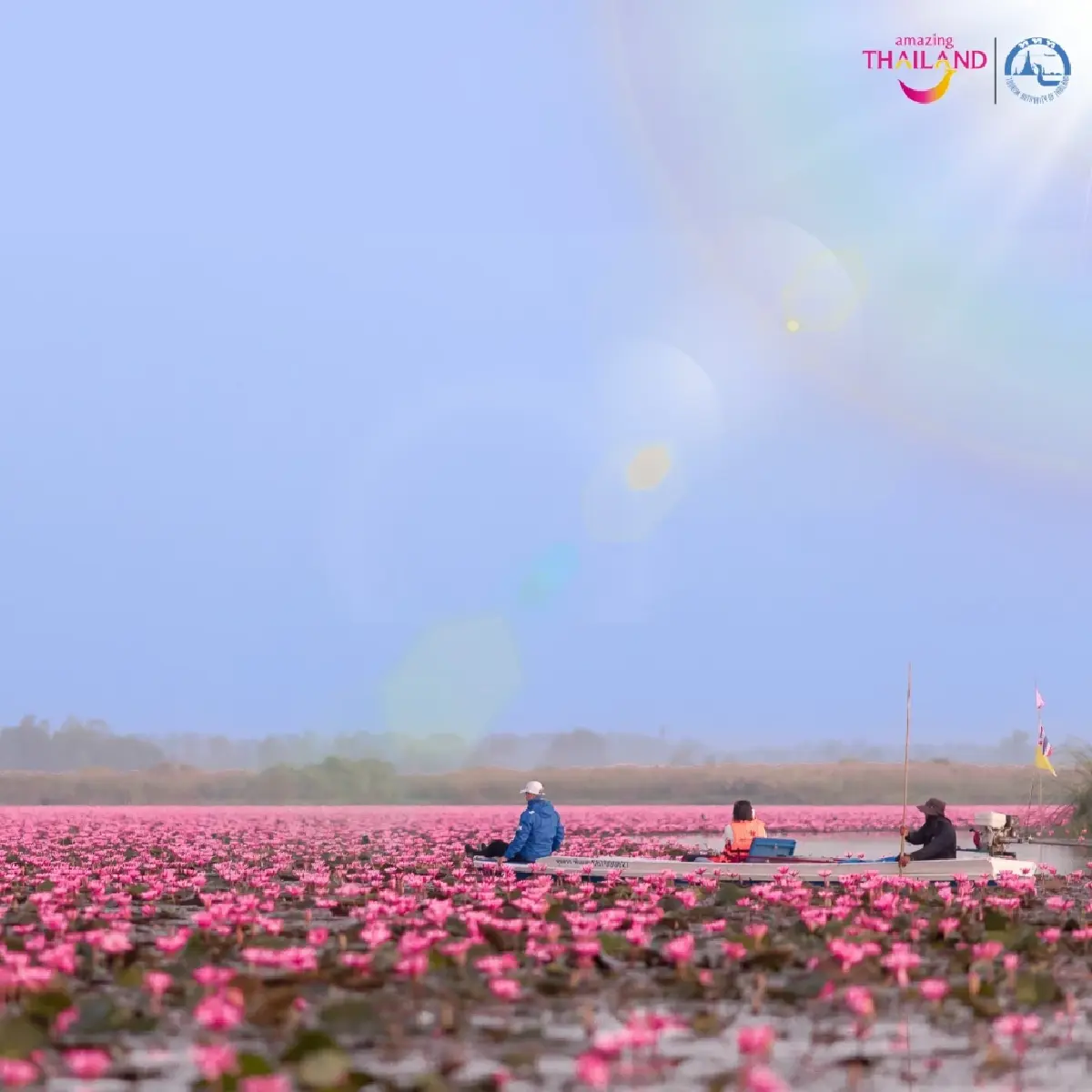 หนาว 14°C ไปเที่ยวอุดร ตามรอย ลิซ่า บุกทะเลบัวแดง ดูเวลาบัวบานสวย