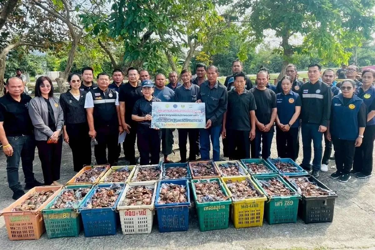 เกษตรกรเพชรบุรีต่อยอด “เลี้ยงปูทะเล” เพิ่มรายได้ ลดต้นทุน