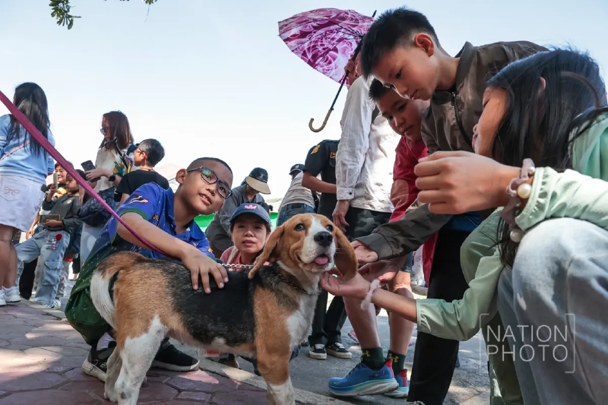 ชมความน่ารัก “สุนัขทหาร K9” โชว์ความสามารถในงาน “วันเด็กแห่งชาติ 2569”