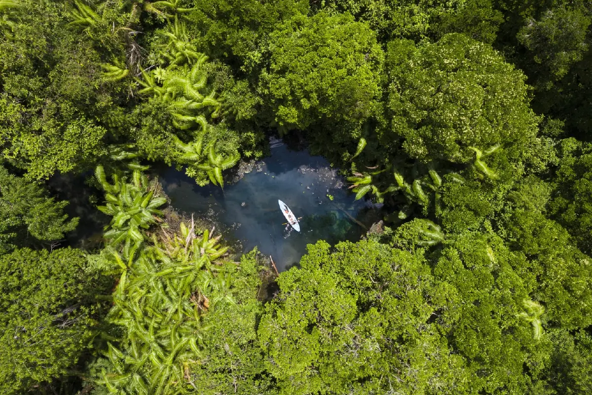 ททท. ดึง ‘Henry Moodie’ ศิลปิน Brit POP โปรโมตท่องเที่ยวไทย ขยายตลาดทัวริสต์ยุโรป