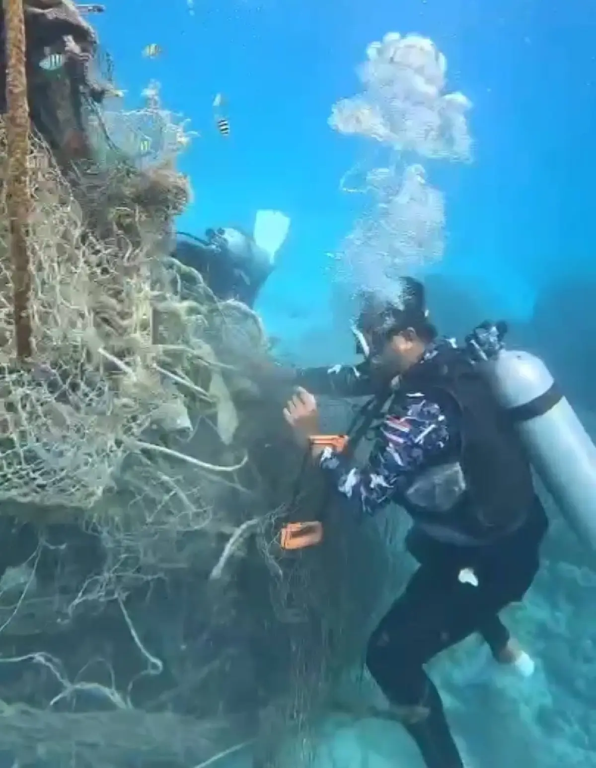 ‘อวนผี’ หนัก 1 ตัน หลอน‘สิมิลัน’   เจ้าหน้าที่อุทยานเร่งเก็บกู้เซฟชีวิตสัตว์ทะเล