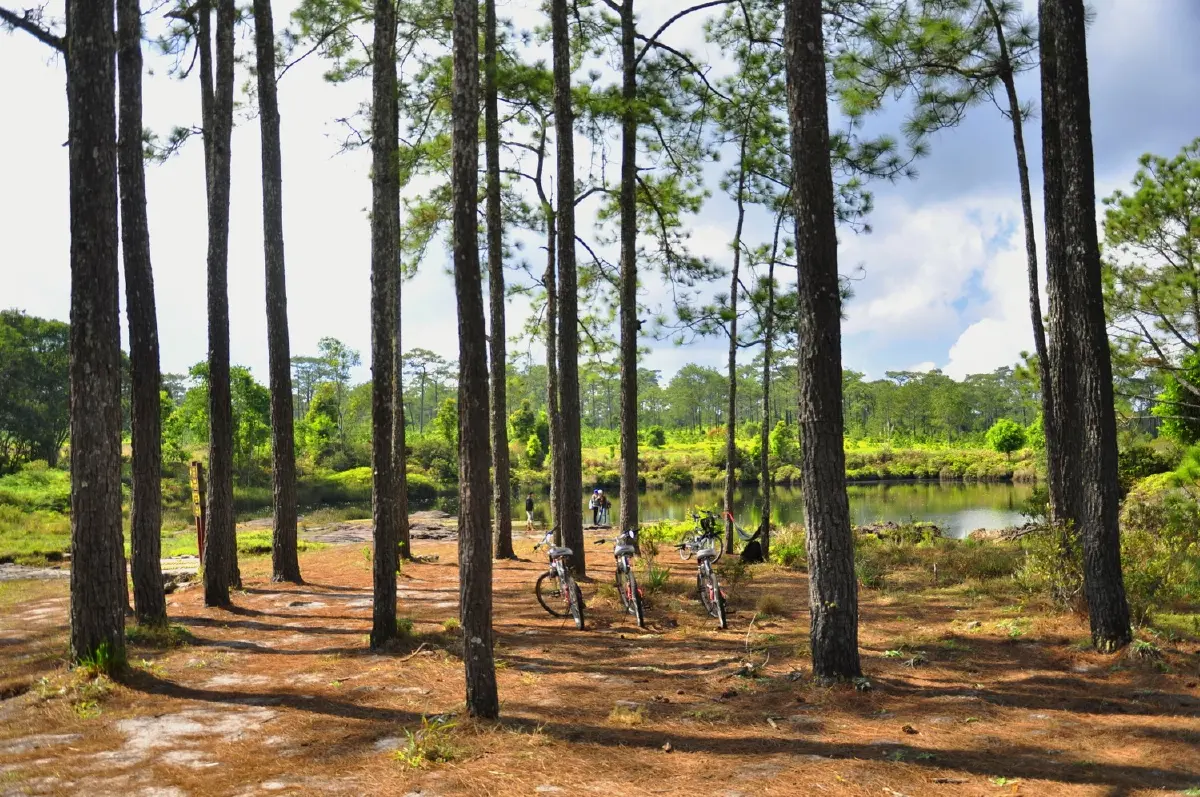 ภูกระดึง....จะมีกระเช้า