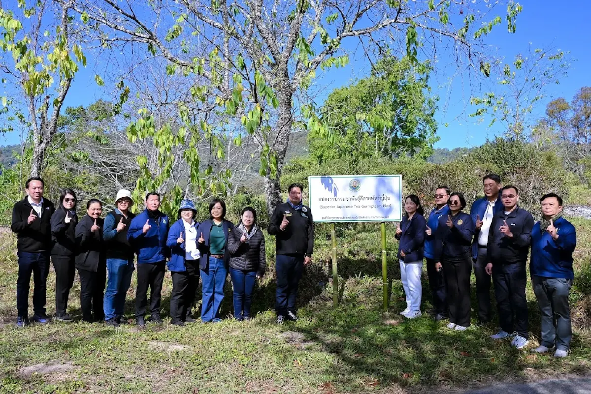 ชาพันธุ์ใหม่ –สตรอว์เบอร์รีปลอดสาร 2 นวัตกรรมยกระดับรายได้