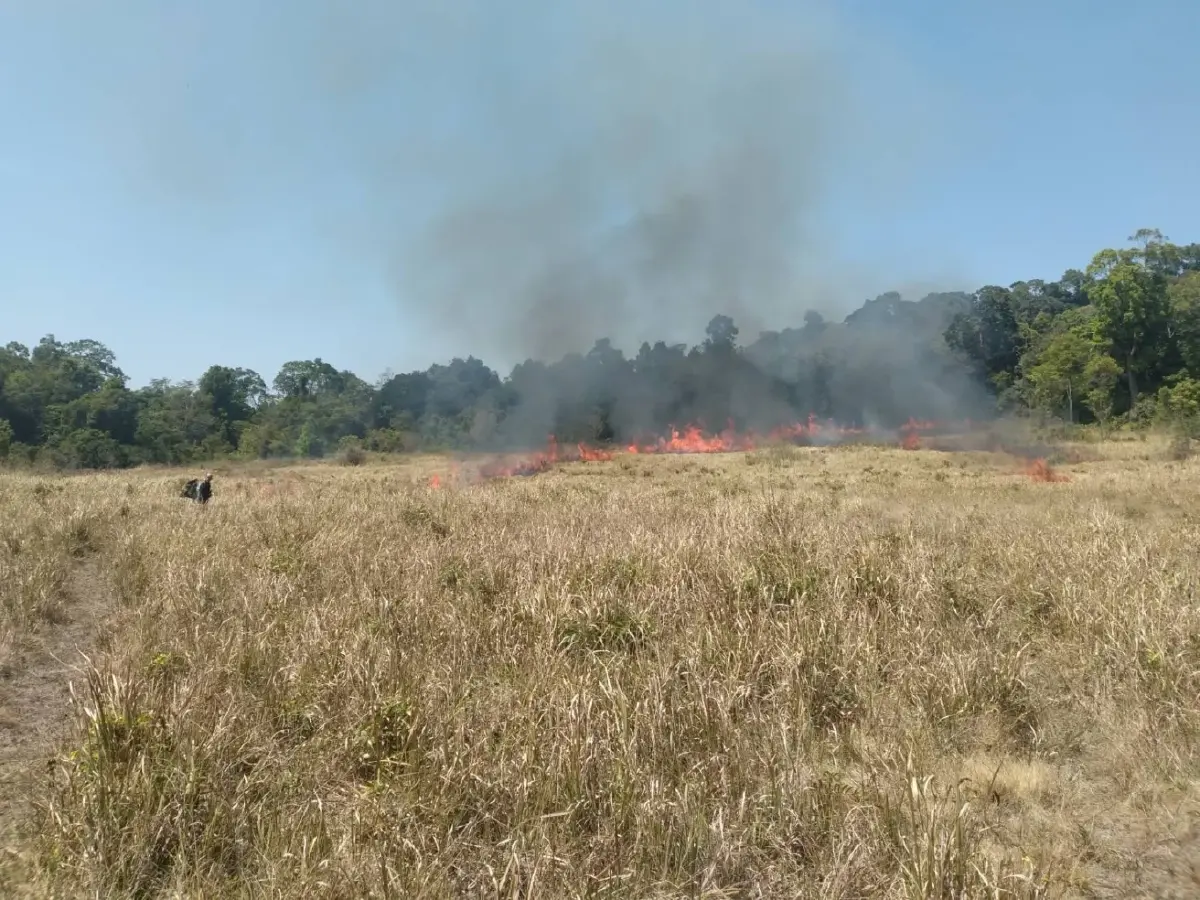 อช.เขาใหญ่ ดับไฟป่า 'ทุ่งงูเหลือม' สำเร็จ เสียหาย 50 ไร่ เตือนมือเผาโทษหนัก!