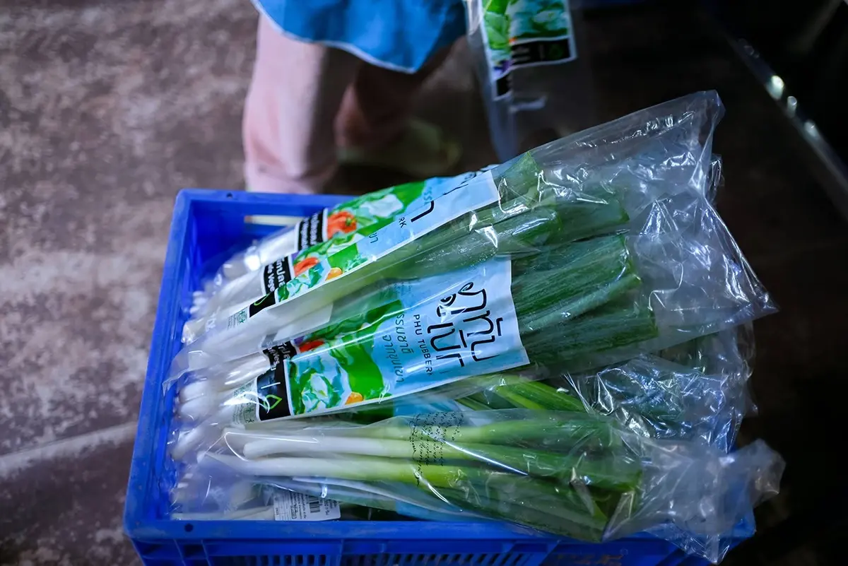 กรมวิชาการเกษตร ขยายการรับรอง สินค้าเกษตรปลอดภัย ผักอินทรีย์บนพื้นที่สูง