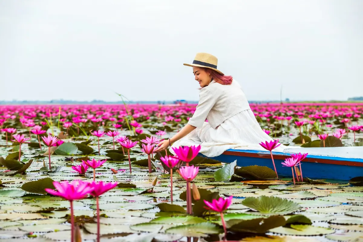 นักท่องเที่ยวแห่ตามรอย ‘ลิซ่า’ ล่องเรือชมทะเลบัวแดง ‘ททท.’ คาดยอดเดินทางทะลัก 1.2 แสนคน