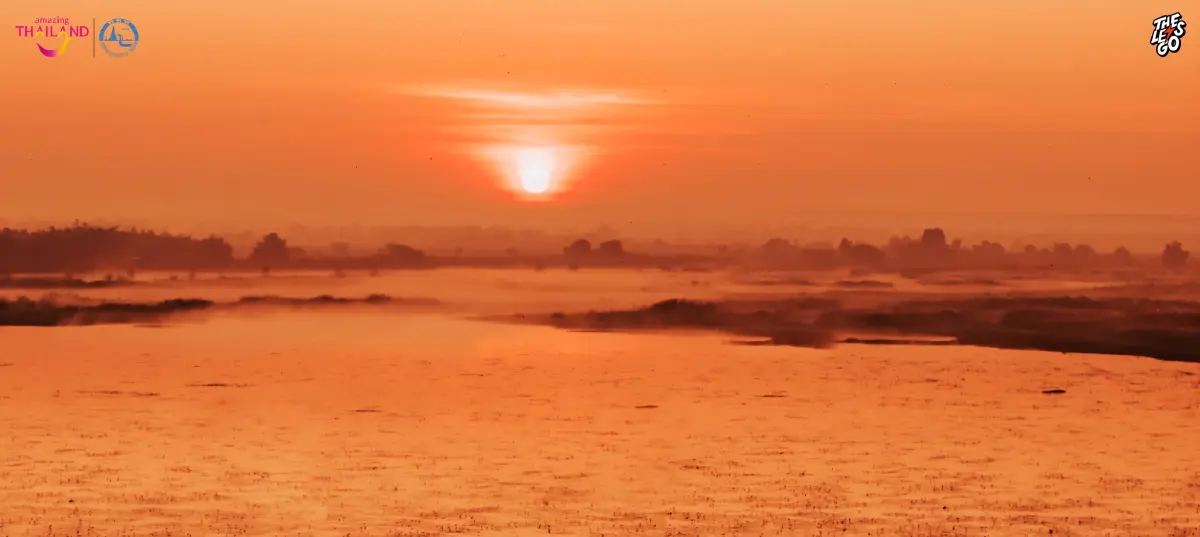 หนาว 14°C ไปเที่ยวอุดร ตามรอย ลิซ่า บุกทะเลบัวแดง ดูเวลาบัวบานสวย