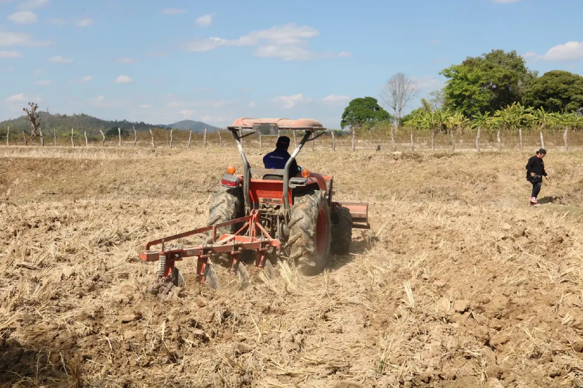 เกษตรฯ ตั้ง 30 จุด เพิ่มมูลค่าวัสดุเหลือใช้ทางการเกษตร ลดเผาเพิ่มเงิน