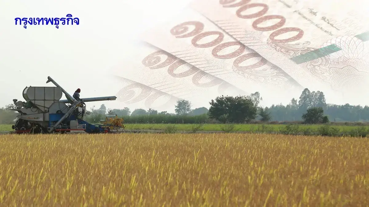 ชาวนาเฮ มีเงินเข้า ไร่ละ 1000 รอบ 2 โอนเข้าบัญชี ได้ 10,000 บาทสูงสุด
