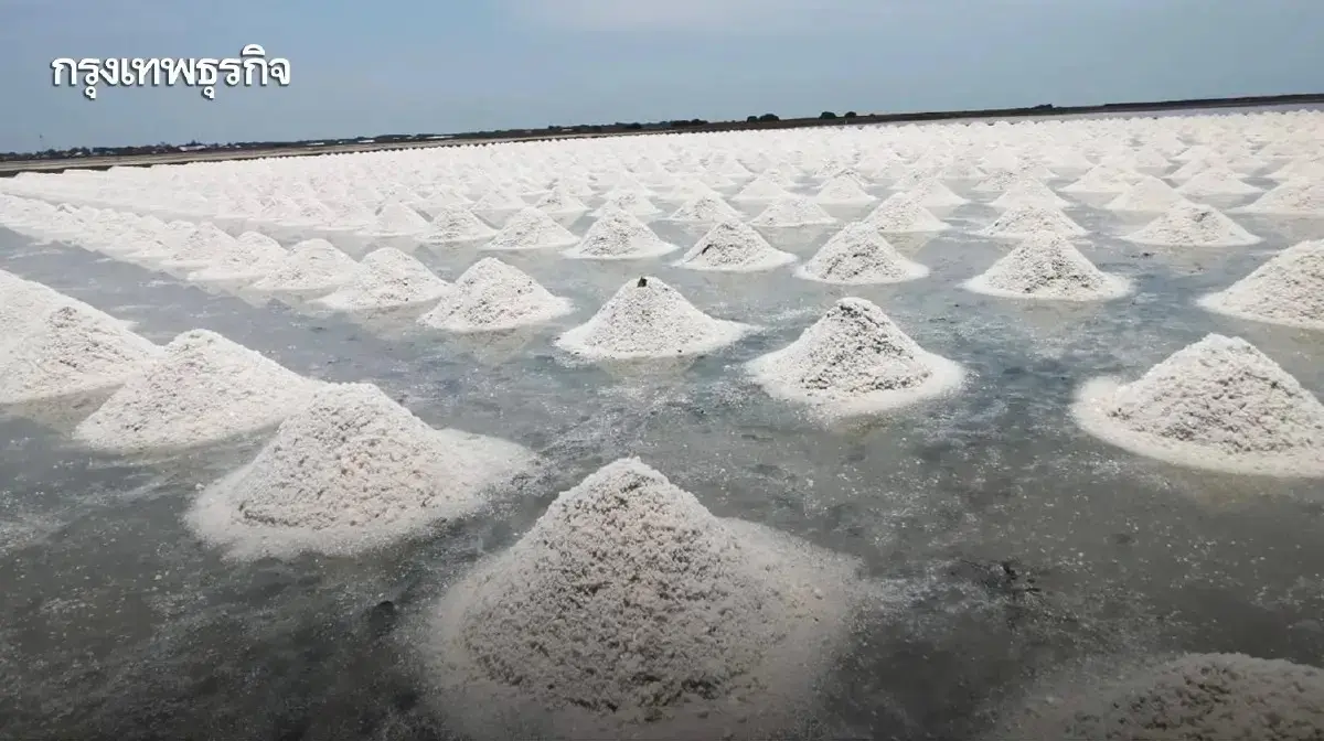 เกษตรฯเร่งแก้ปัญหาเกลือไทย ขึ้นทะเบียน ปล่อยสินเชื่อ