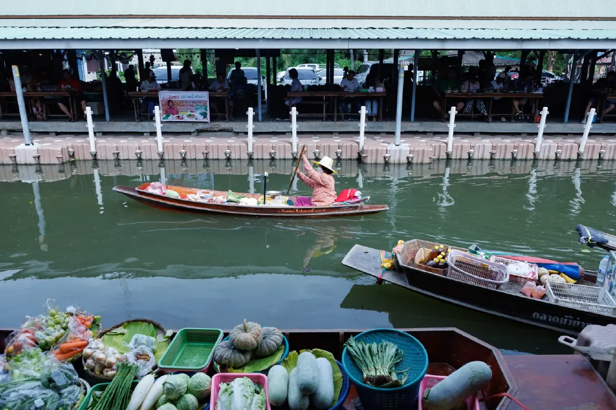 นักเดินทาง ‘นกนางนวล’ แห่งพื้นที่ชุ่มน้ำดอนหอยหลอด