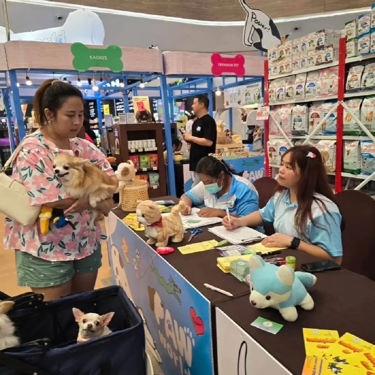 กทม. เลื่อนกฎหมายสัตว์เลี้ยง อีก 1 ปี แก้ปมฝังชิป-คนเช่าที่พัก