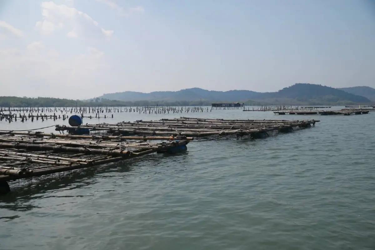 กรมประมง โชว์ 7 ปี ยกระดับองค์กรประมงท้องถิ่น ดันรายได้ ปี’68 พุ่ง 464.57 ล้านบาท