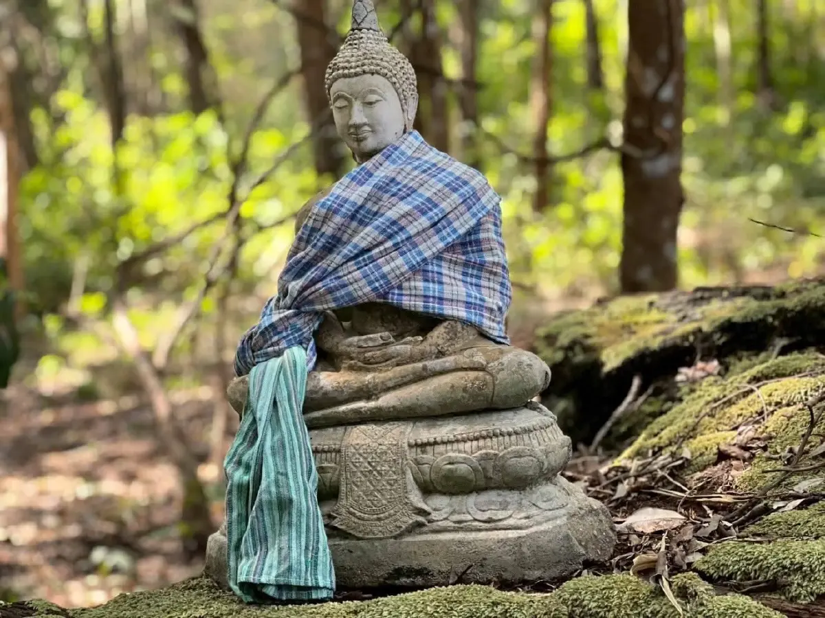 ห้ามพลาด! อุทยานแห่งชาติตาดโตน จ่อเปิดเส้นทางเดินป่า 9 กม. พิชิตยอดเขาภูโค้ง