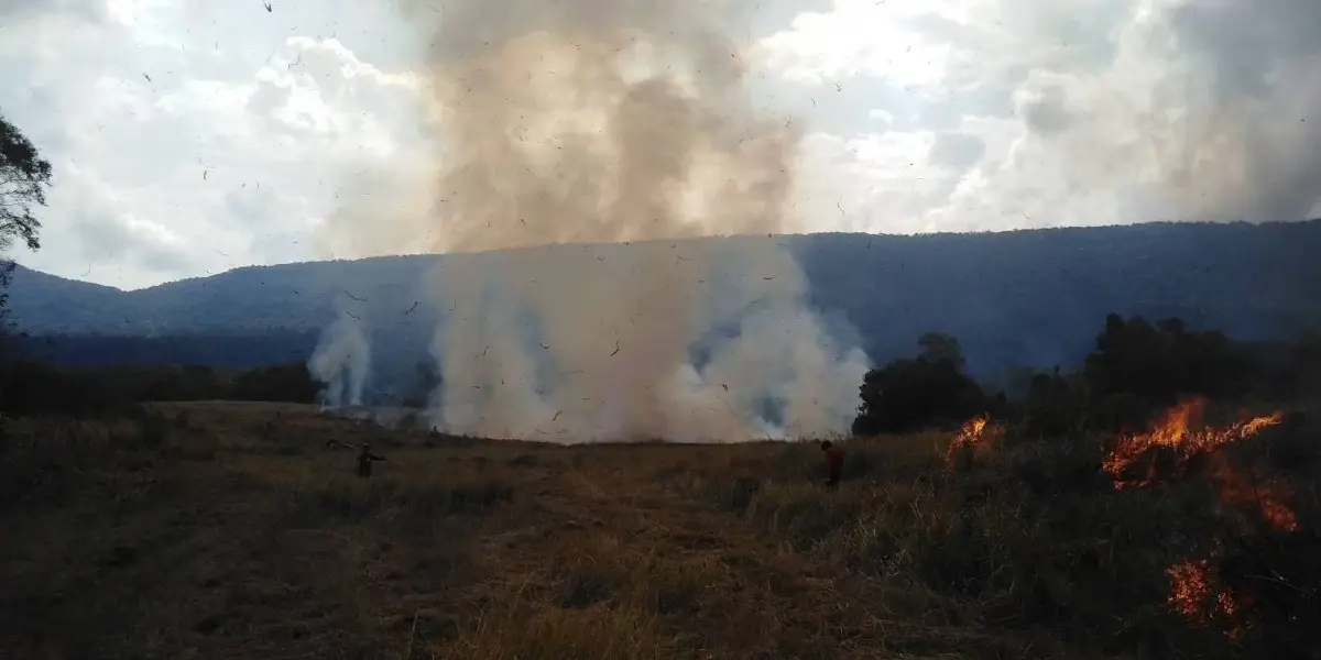 อช.เขาใหญ่ ดับไฟป่า 'ทุ่งงูเหลือม' สำเร็จ เสียหาย 50 ไร่ เตือนมือเผาโทษหนัก!