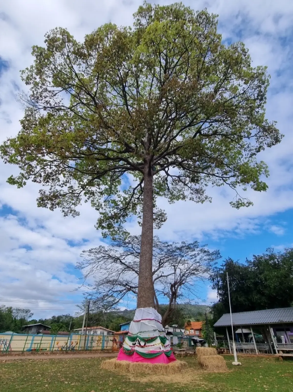 BUILD Skills Lab : ห้องทดลองที่ทำให้น้องๆบ้านหมูสีอยากไปโรงเรียน