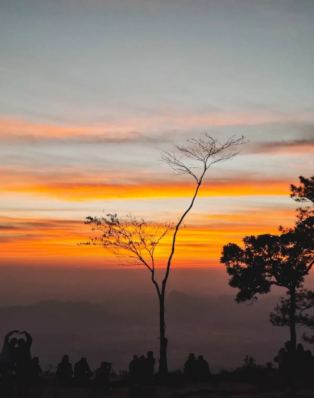 เที่ยวเลย หนาวมาก 'ภูกระดึง' แตะ 9 องศา ผานกแอ่น นทท.แห่พิชิตแสงแรก