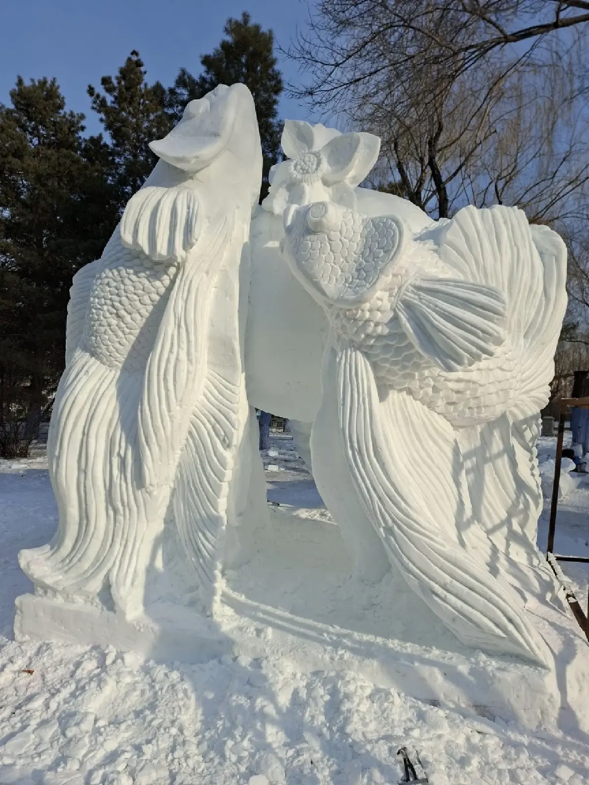 เด็กไทย ผงาดคว้าแชมป์โลก แกะสลักหิมะ 2026 โชว์ ปลากัด - เทพีแห่งน้ำ