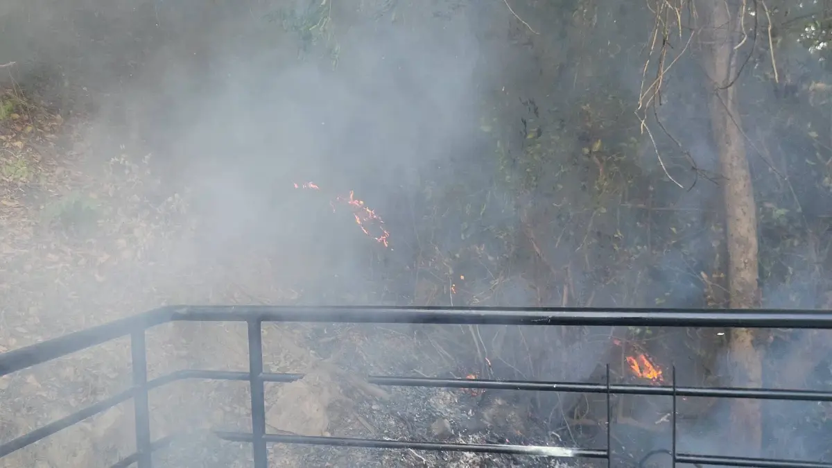 ระทึก! ไฟไหม้ป่าหญ้าหวิดลามป้าย pattaya city​ จนท.เร่ง​ควบคุมสถานการณ์