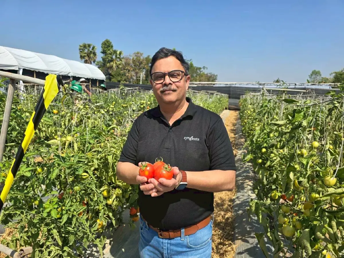 ซินเจนทา แลกเปลี่ยนการผลิตพืชผัก ภายใต้ความรุนแรงของสภาพอากาศร้อน