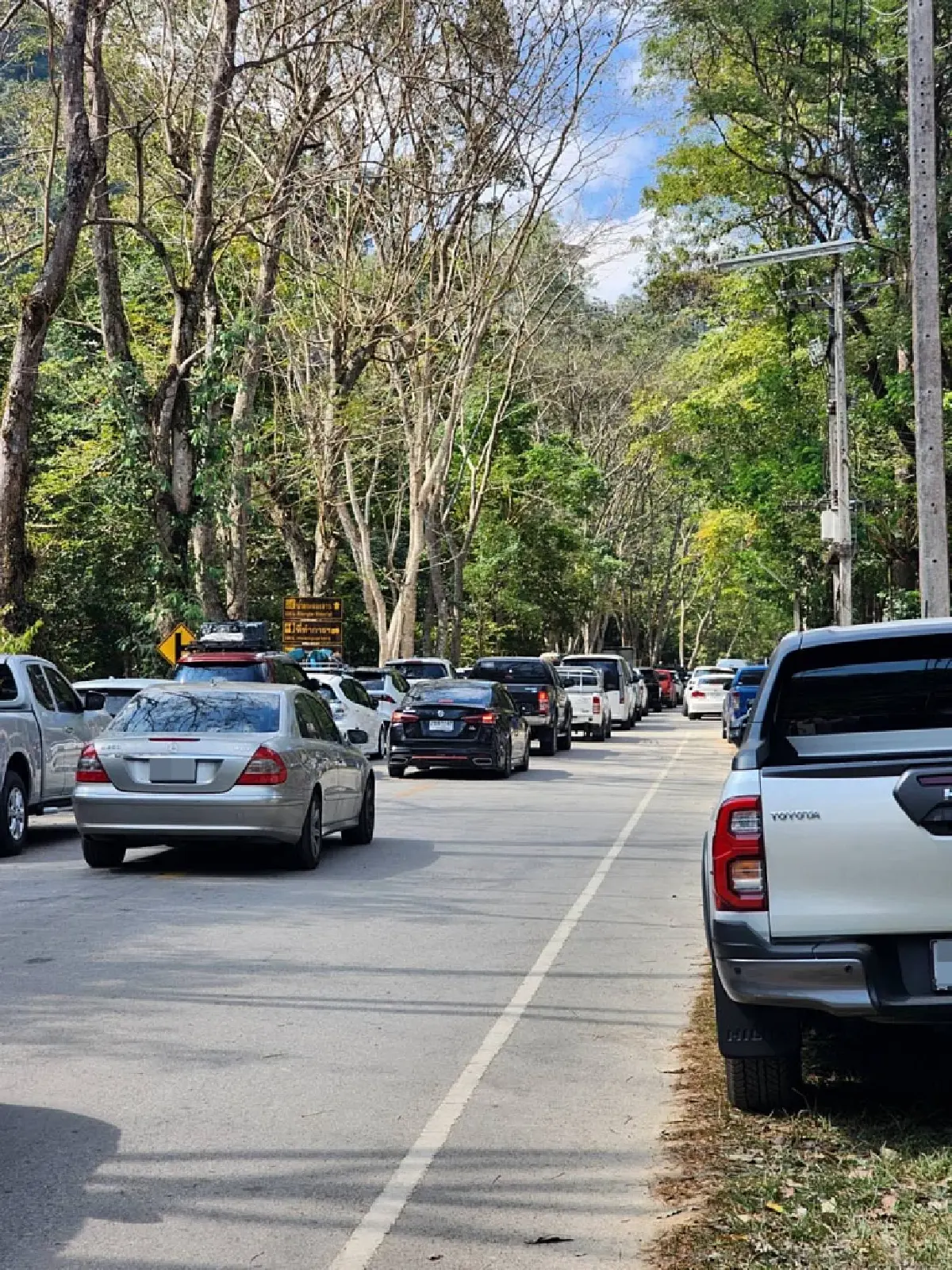 วันหยุด ปีใหม่​ 2569 แห่เที่ยวอุทยานฯ คึกคัก 2 วัน​ ทะลุ 5 แสนคน 'เขาใหญ่' อันดับ 1