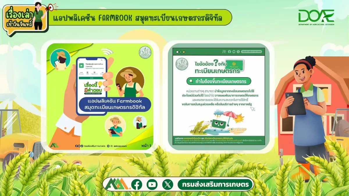 ชาวนาเฮ มีเงินเข้า ไร่ละ 1000 รอบ 2 โอนเข้าบัญชี ได้ 10,000 บาทสูงสุด