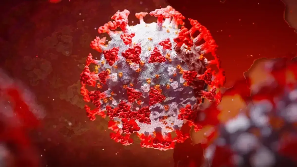 ยังไม่มียารักษา! ไวรัสนิปาห์ Nipah Virus ตายสูง 75% ให้ระวัง ไข้สูง