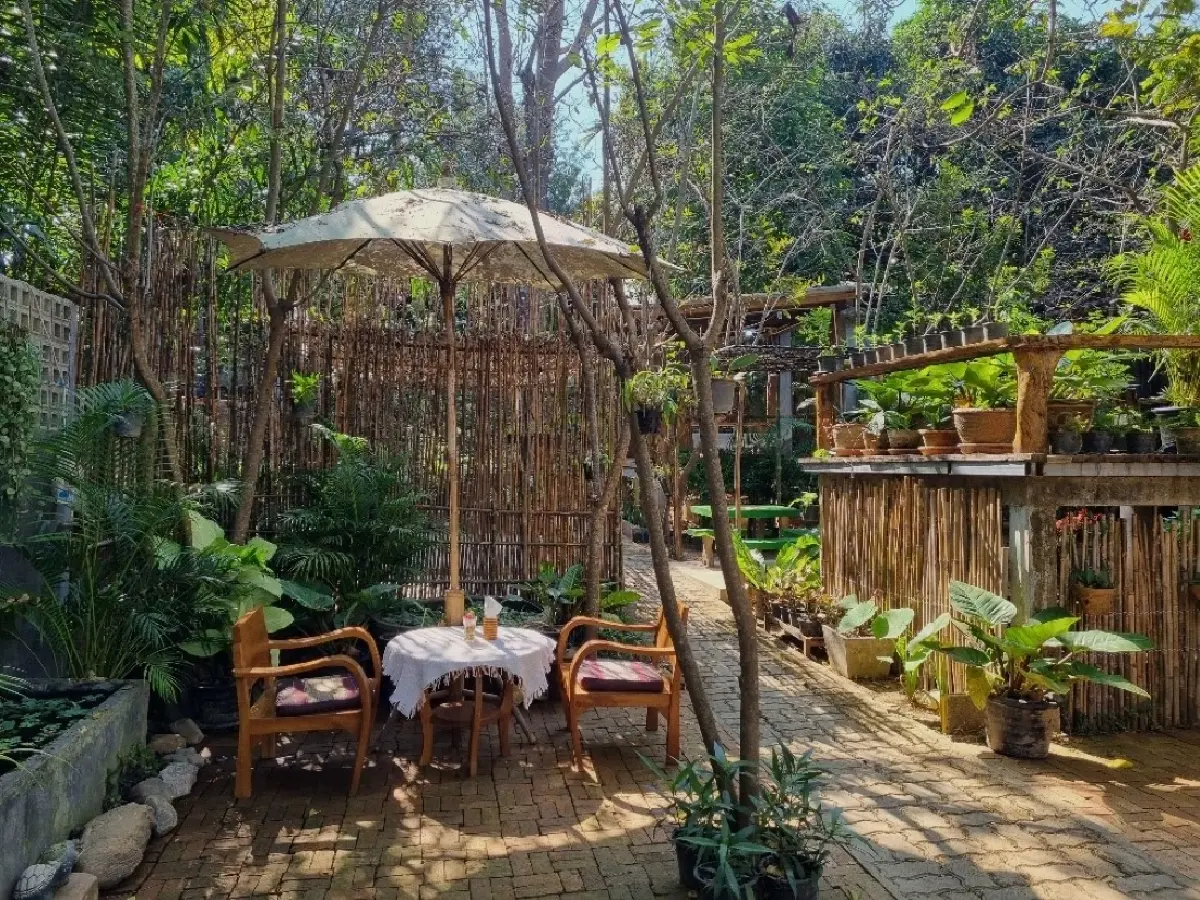 ‘พิกุล’คาเฟ่และสวนผักของคนรักสุขภาพ อ.เสริมงาม จ.ลำปาง