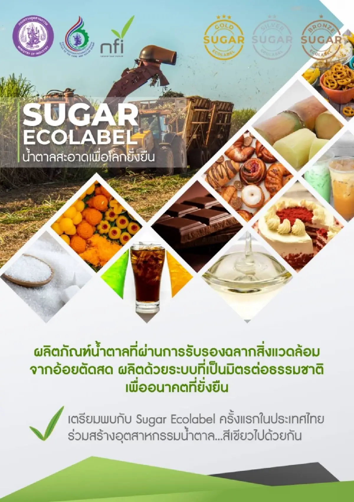 สอน. ดัน Sugar Ecolabel เชื่อม 'เกษตร-เทคโนโลยี-ตลาด' สู่ความยั่งยืนอ้อย-น้ำตาล