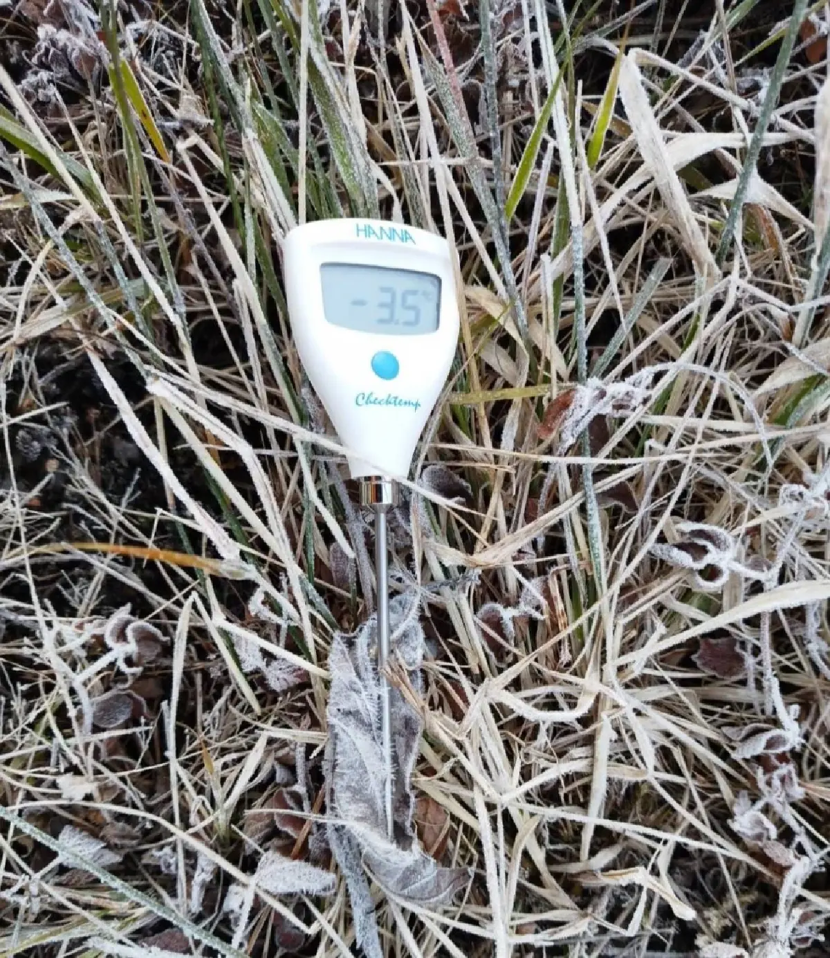 'แม่คะนิ้ง' โผล่ยอดดอยอินทนนท์ หนาวมาก 3°C นทท.แห่รับแสงแรก 2569