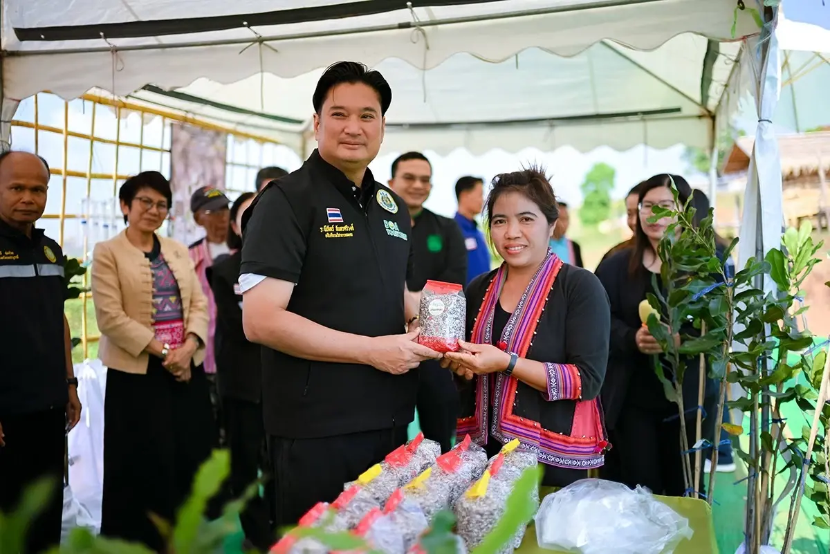 กรมวิชาการเกษตร ขยายการรับรอง สินค้าเกษตรปลอดภัย ผักอินทรีย์บนพื้นที่สูง