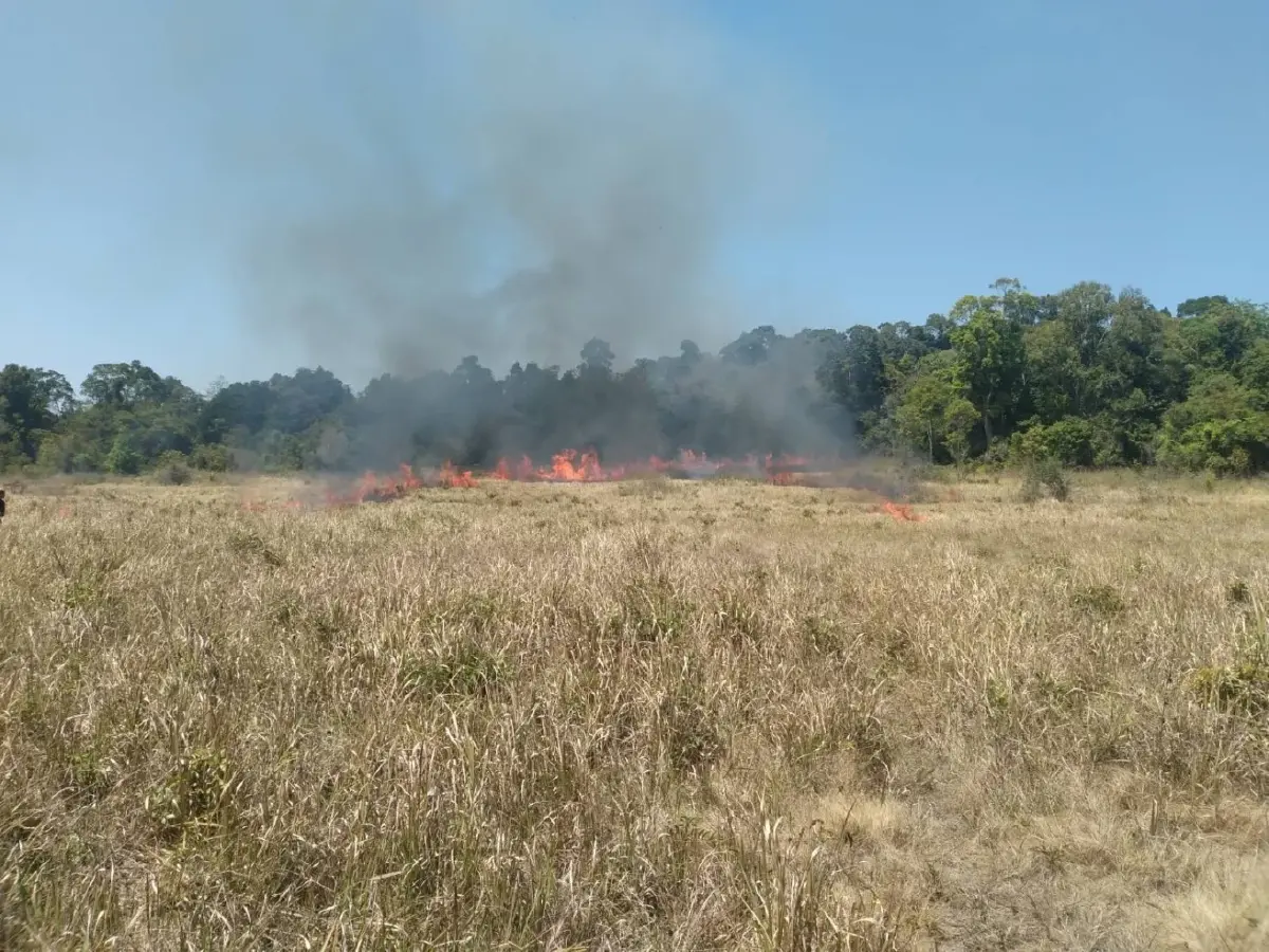 อช.เขาใหญ่ ดับไฟป่า 'ทุ่งงูเหลือม' สำเร็จ เสียหาย 50 ไร่ เตือนมือเผาโทษหนัก!