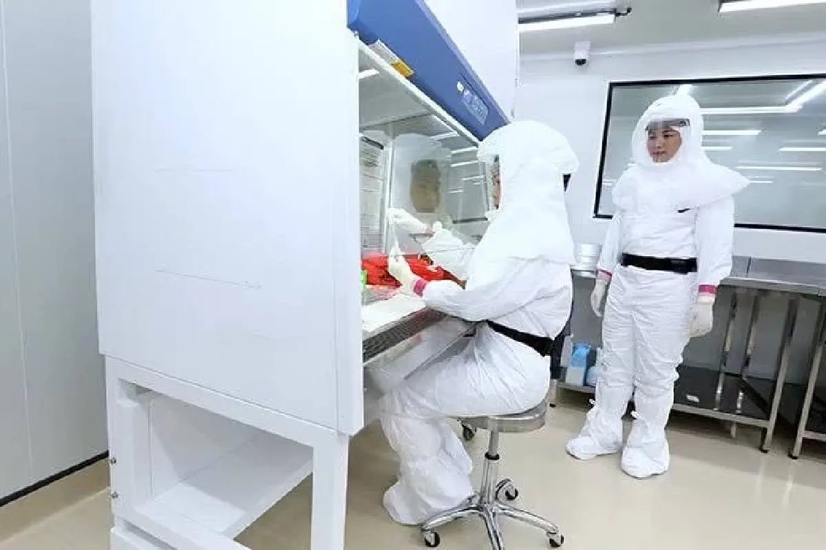 'ไวรัสนิปาห์' อัตราป่วยตายสูง 50- 70% ไม่มียารักษา พบติดคนสู่คน