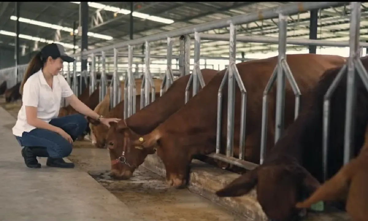 NIA ฉายภาพความสำเร็จ “โคดำลำตะคอง” ในงาน Thailand Beef Fest 2026