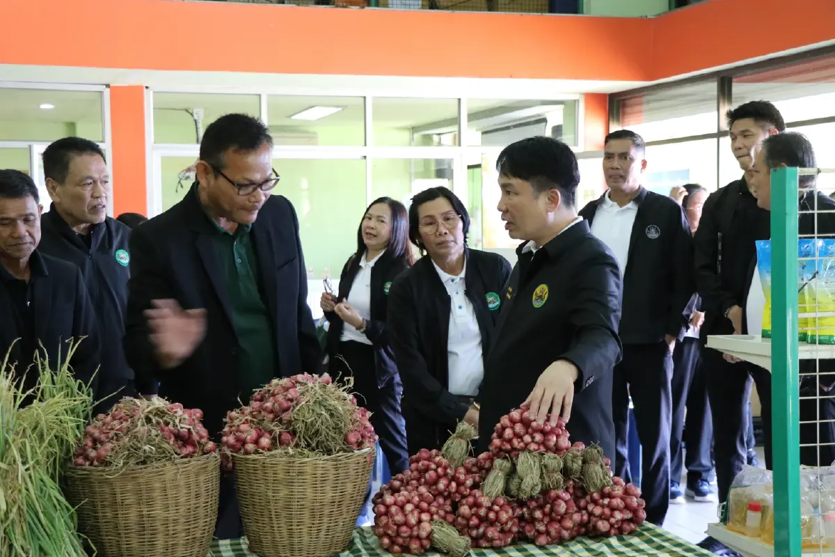 หอมแดงกระจุกตัว ราคาตกเหลือ กก.ละ 7 บาท กรมส่งเสริมสหกรณ์ เร่งดึงออกนอกพื้นที่