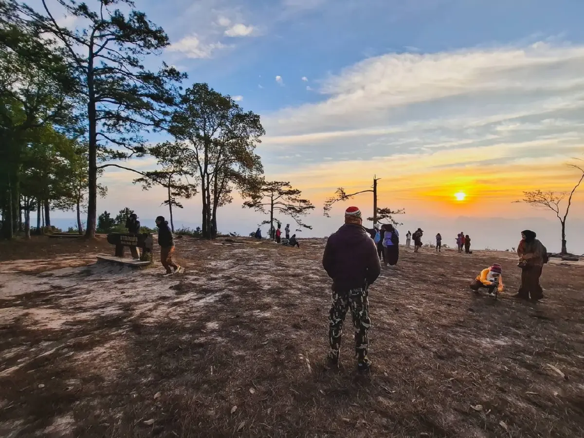 เที่ยวเลย หนาวมาก 'ภูกระดึง' แตะ 9 องศา ผานกแอ่น นทท.แห่พิชิตแสงแรก