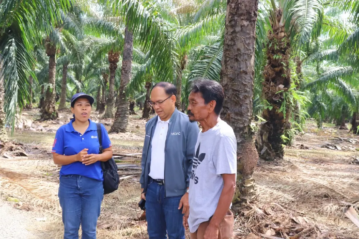 สศก. หนุนใส่ปุ๋ยปาล์มฯตามค่าวิเคราะห์ดิน ลดต้นทุน ลดก๊าซเรือนกระจก