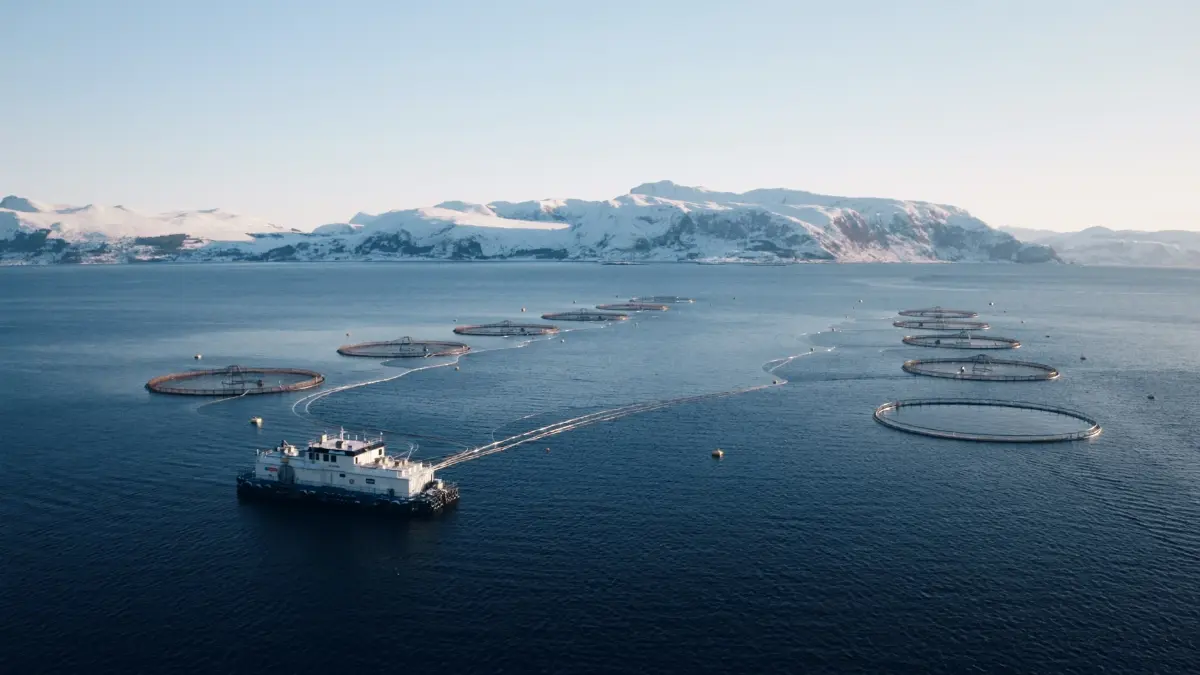 ซีพี แอ็กซ์ตร้า ผนึกกำลัง Mowi ส่งมอบแซลมอนพรีเมียมคุณภาพสู่มือลูกค้า