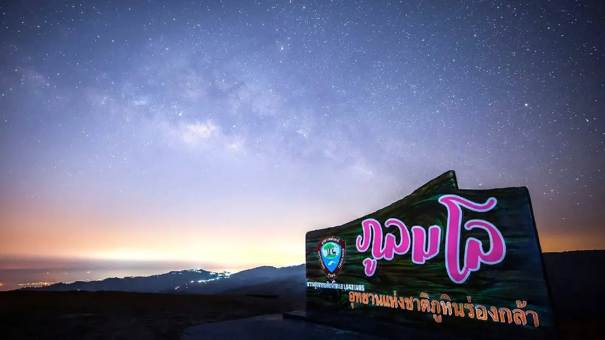 ชม ‘ซากุระเมืองไทย’ โค้งสุดท้าย ที่ ‘ภูลมโล’ กลางเดือนม.ค. 69