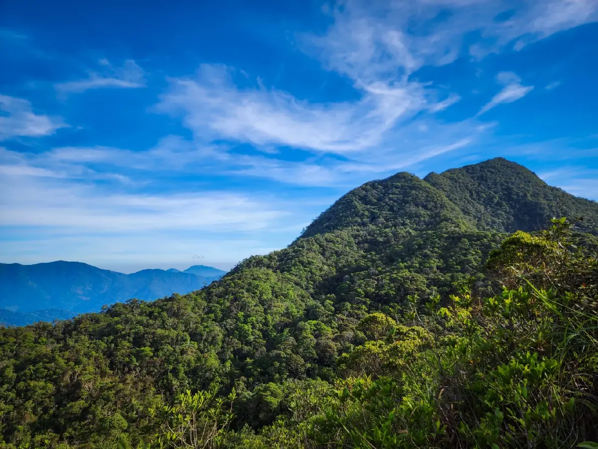 'ยอดเขาค้อม' อุทยานแห่งชาติเขานัน เส้นทางใหม่ที่สายลุยต้องลอง