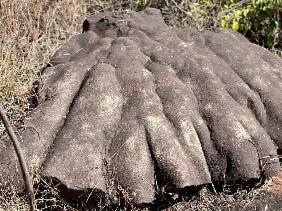 ห้ามพลาด! อุทยานแห่งชาติตาดโตน จ่อเปิดเส้นทางเดินป่า 9 กม. พิชิตยอดเขาภูโค้ง