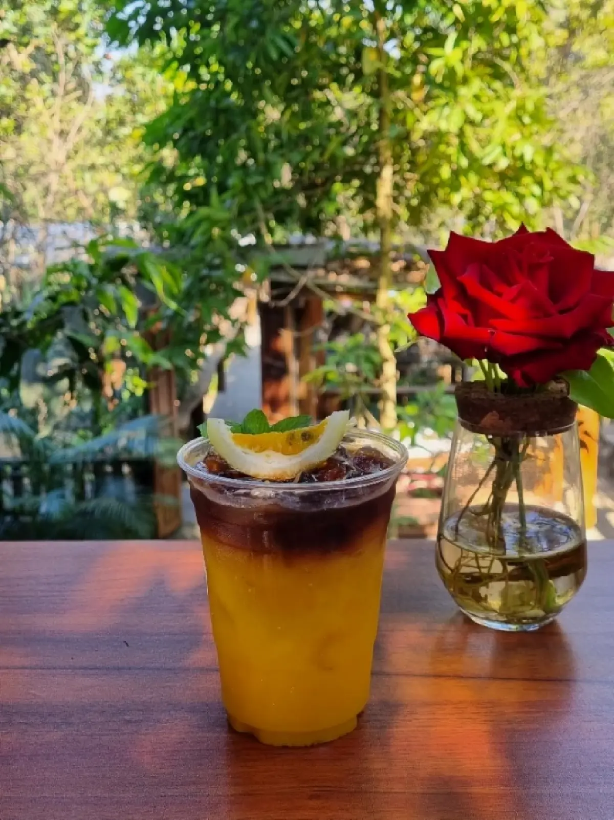 ‘พิกุล’คาเฟ่และสวนผักของคนรักสุขภาพ อ.เสริมงาม จ.ลำปาง