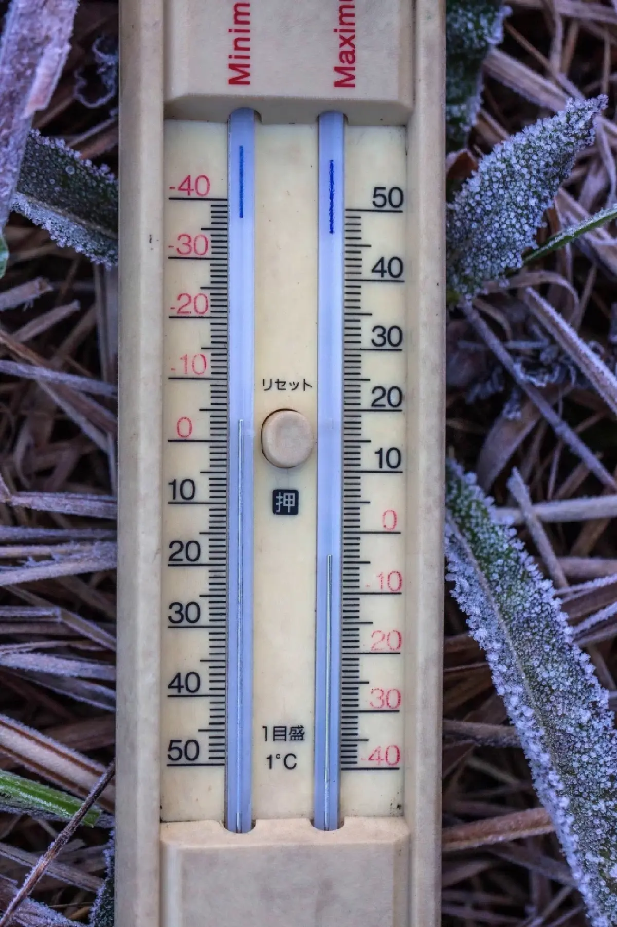 'ภูหินร่องกล้า' หนาวจัด ทะลุจุดเยือกแข็ง -4 องศา เกิดแม่คะนิ้งต่อเนื่องวันที่ 3